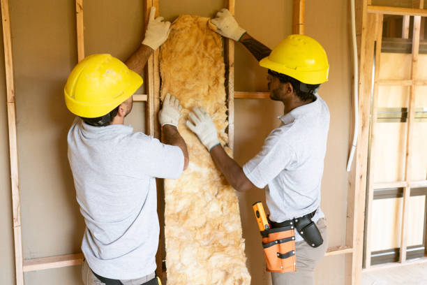 Best Wall Insulation Installation in Juneau, AK